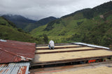 COLOMBIA // EL MERIDIANO